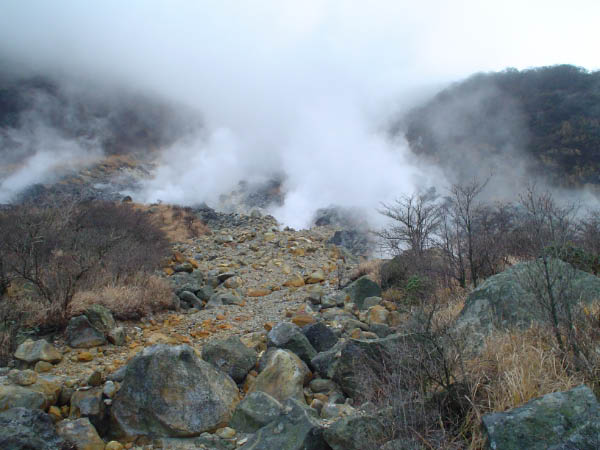 Hakone Hot Springs2