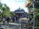 Shinobasu Pond Temple
