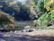 U of T Pond